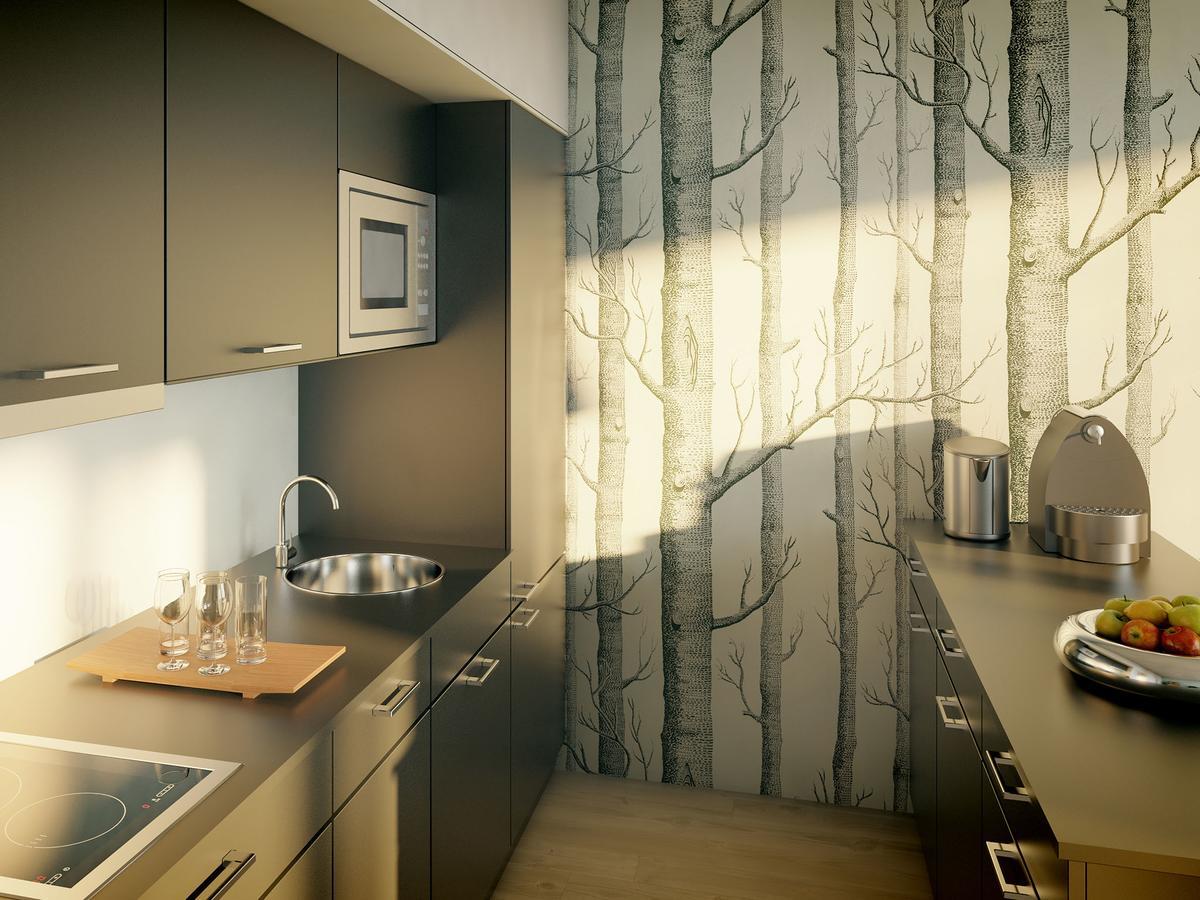 Apartmán Krásná Lípa č. 1 Esterno foto